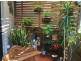 15 Rose St, Port Macquarie NSW 2444