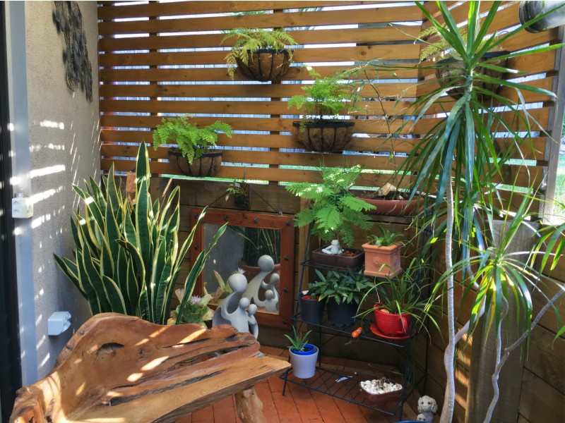 15 Rose St, Port Macquarie NSW 2444