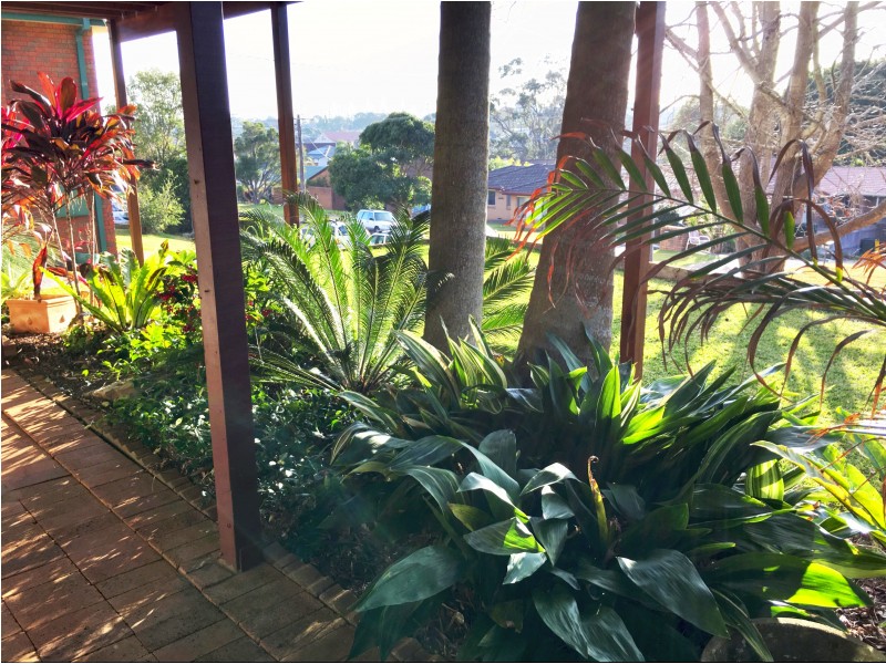 15 Rose St, Port Macquarie NSW 2444
