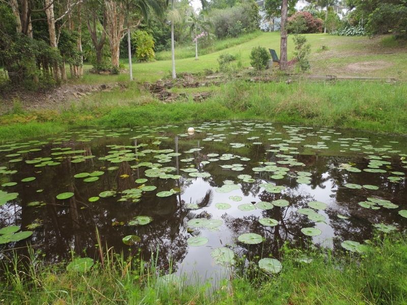 5 Senegal Rise, Doonan QLD 4562
