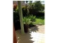 3 Genoa Court, Noosaville QLD 4566
