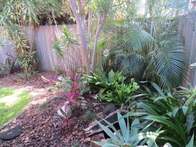 3/15 Margit Crescent, Sunrise Beach QLD 4567