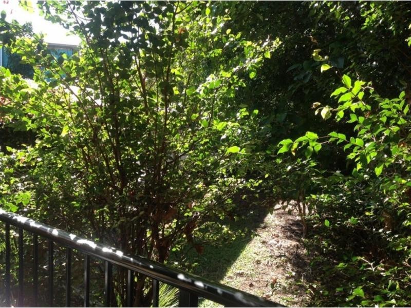 455/3 Hilton Terrace, Tewantin QLD 4565