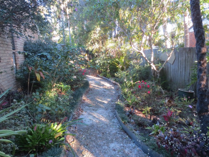 2/17 Nebula Street, Sunshine Beach QLD 4567