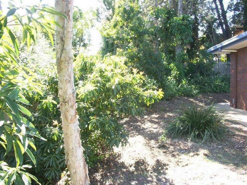 31 Leslie Drive, Noosa Heads QLD 4567