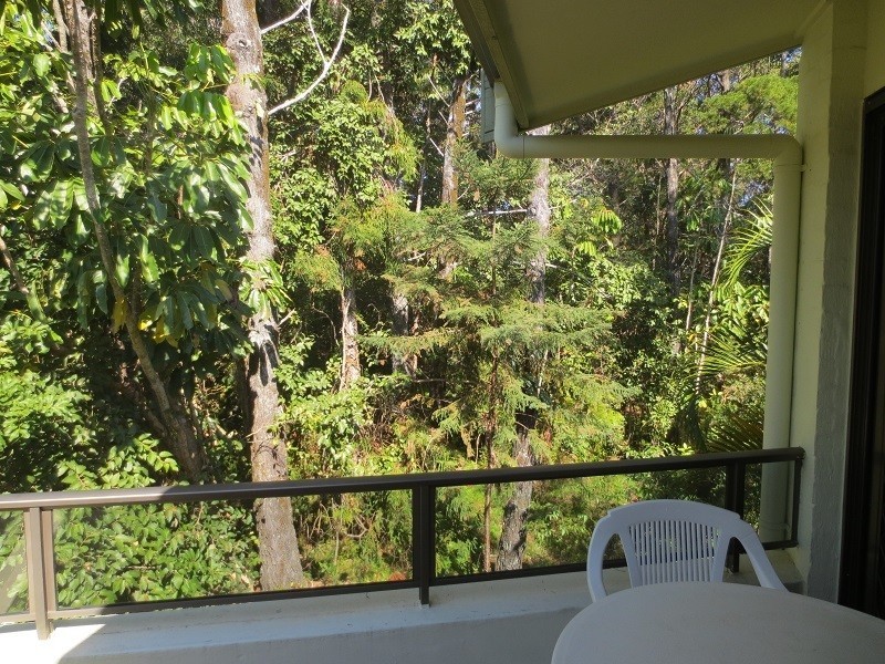 11/28 Viewland Dr, Noosa Heads QLD 4567