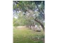 94 Sullivan Road, Kennedy QLD 4816