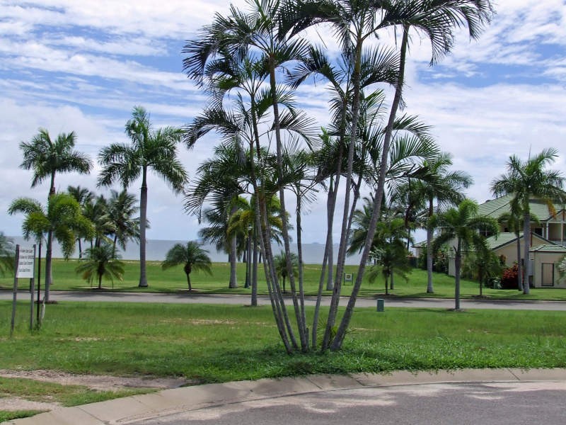 11 Golden Cane Crescent, Cardwell QLD 4849