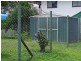 5 Griffin Court, Cardwell QLD 4849