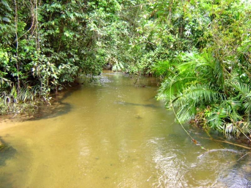 276 Appleyard Road, Bilyana QLD 4854