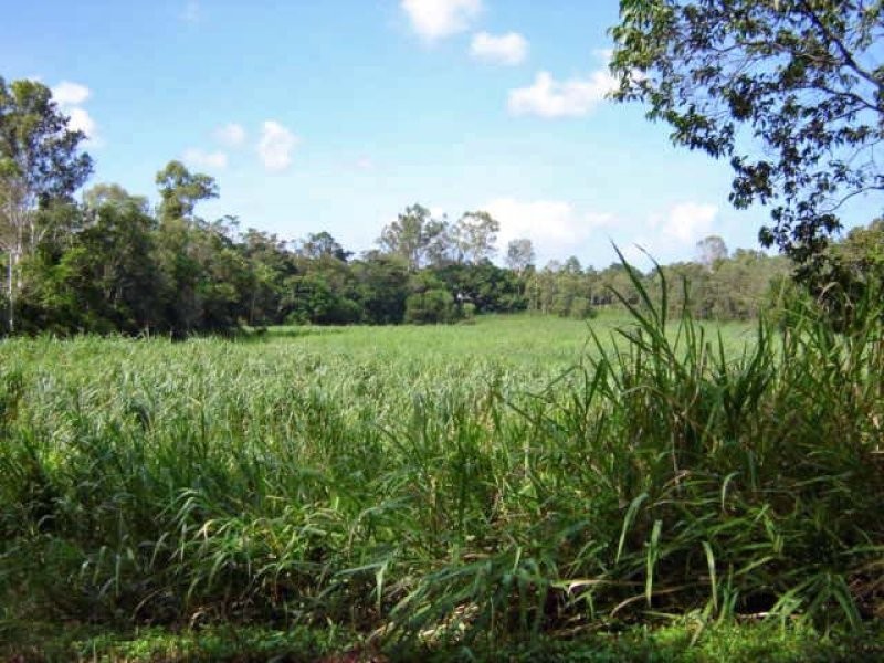 276 Appleyard Road, Bilyana QLD 4854