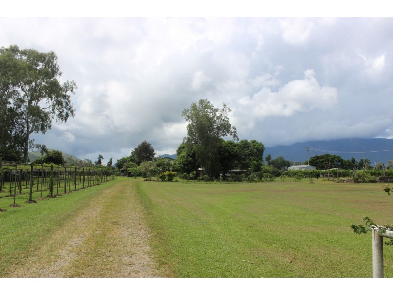 75 Lily Creek Road, Cardwell QLD 4849