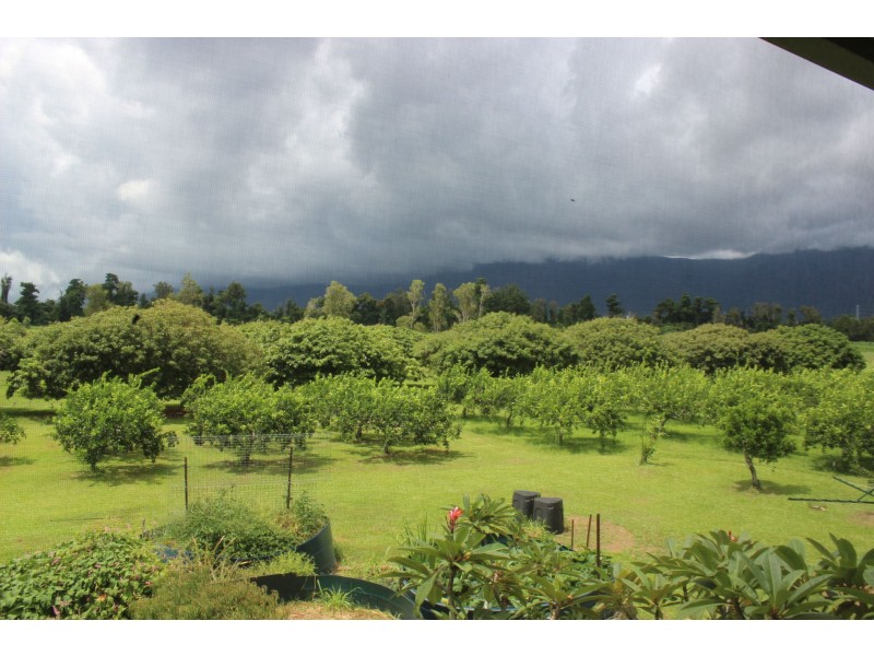 75 Lily Creek Road, Cardwell QLD 4849