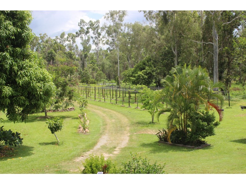 75 Lily Creek Road, Cardwell QLD 4849
