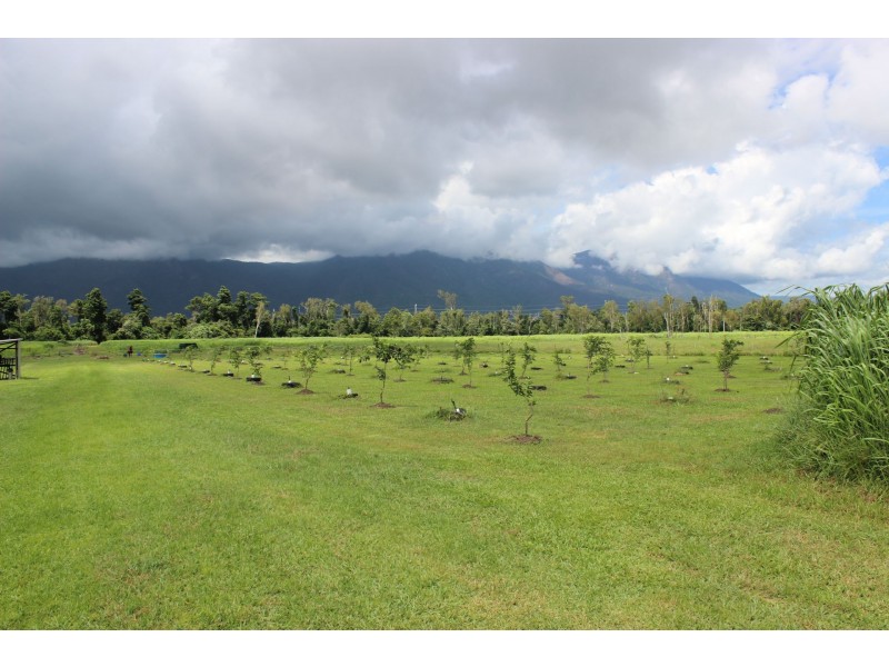 75 Lily Creek Road, Cardwell QLD 4849