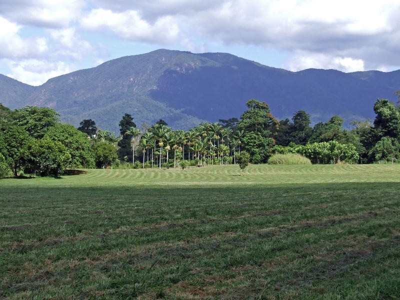 7 Ronlund Road, Murray Upper QLD 4854