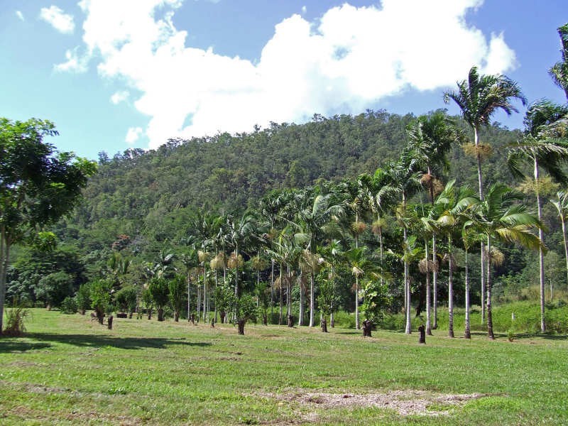 7 Ronlund Road, Murray Upper QLD 4854