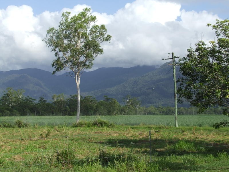 305 Curtis Road, Kennedy QLD 4816