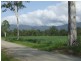 305 Curtis Road, Kennedy QLD 4816