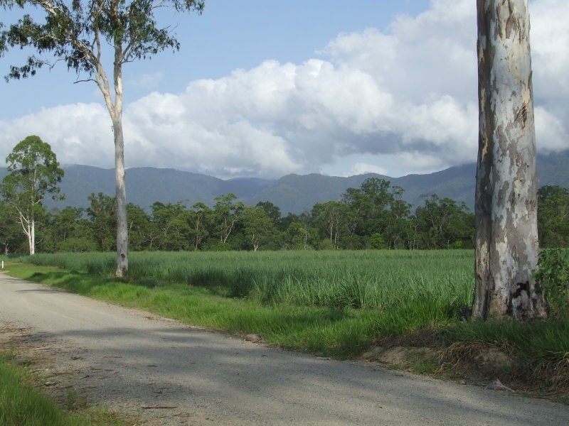 305 Curtis Road, Kennedy QLD 4816