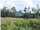305 Curtis Road, Kennedy QLD 4816