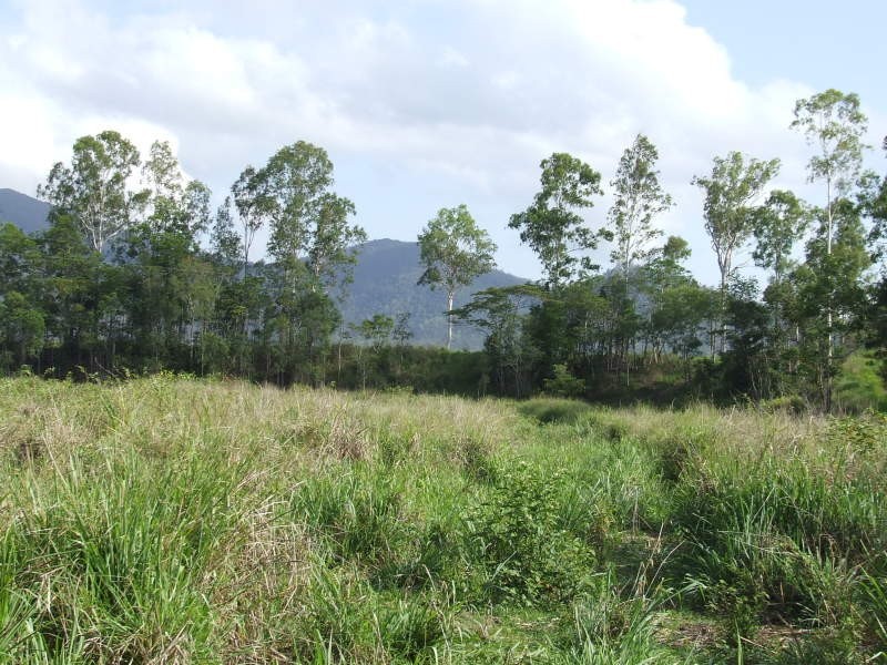 305 Curtis Road, Kennedy QLD 4816