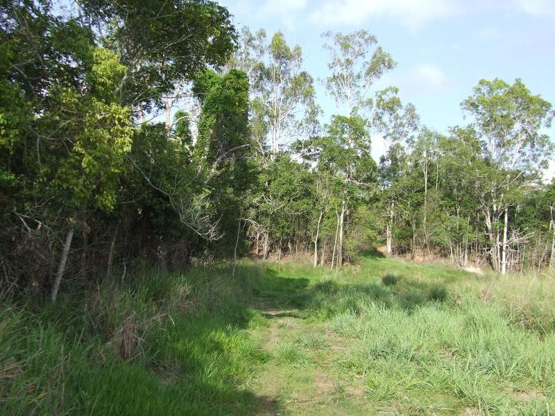 305 Curtis Road, Kennedy QLD 4816