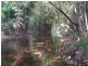 305 Curtis Road, Kennedy QLD 4816