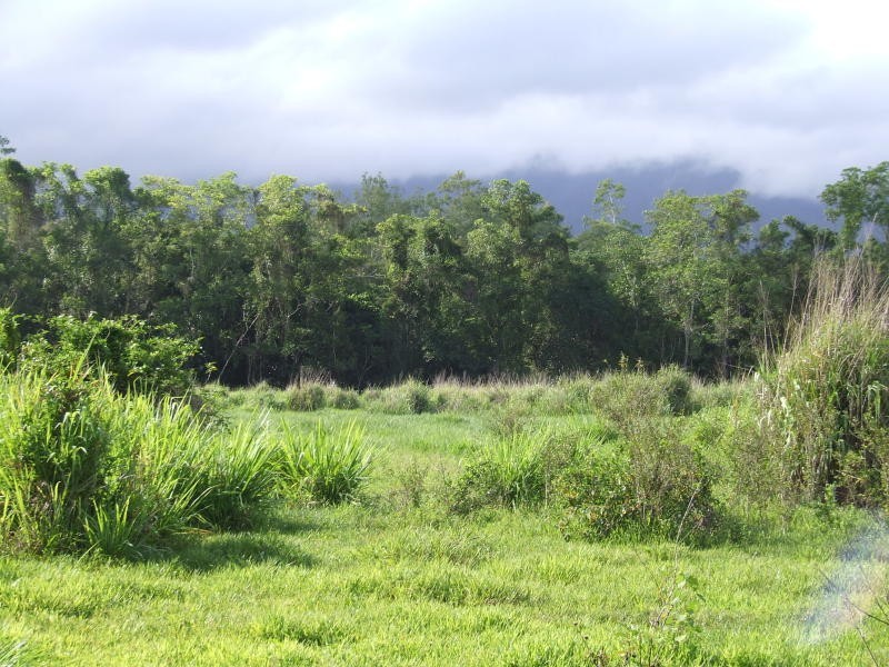 305 Curtis Road, Kennedy QLD 4816