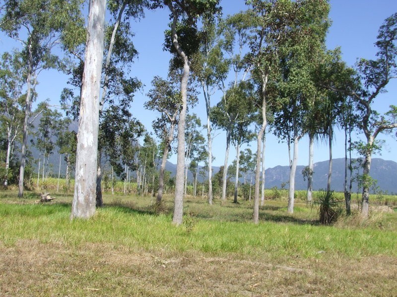 Lot 17 Ellerbeck Road, Cardwell QLD 4849