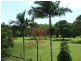 765 Ellerbeck Road, Kennedy QLD 4816