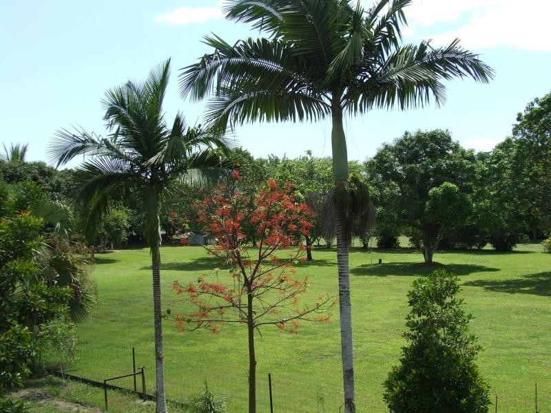 765 Ellerbeck Road, Kennedy QLD 4816
