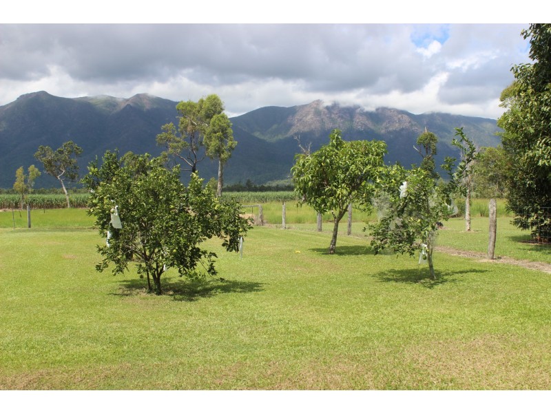 703 Ellerbeck Road, Cardwell QLD 4849