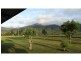 965 Kennedy Creek Road, Kennedy QLD 4816
