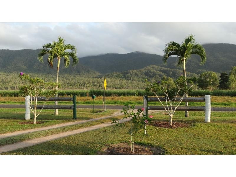 965 Kennedy Creek Road, Kennedy QLD 4816