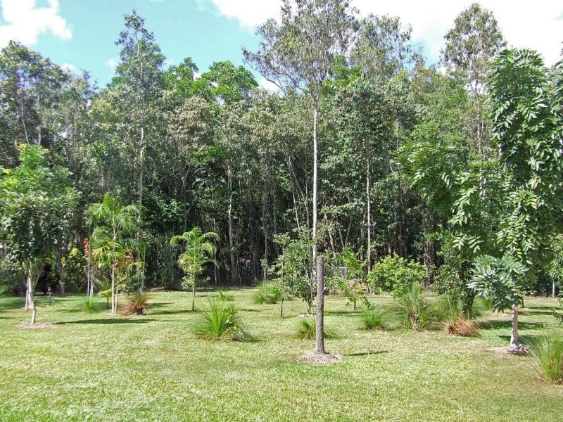 53 Curtis Road, Kennedy QLD 4816