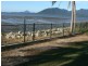 93 Keith Williams Drive, Cardwell QLD 4849