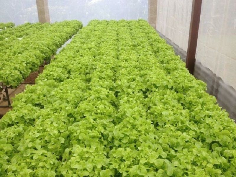 56348 Bruce Highway, Kennedy QLD 4816