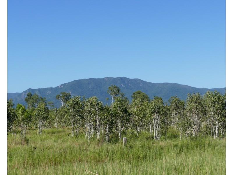 Lot 4 Hamilton Road, Cardwell QLD 4849