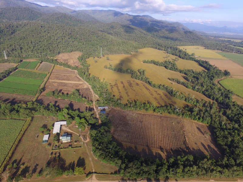 144 Old Cardwell Rd, Bilyana QLD 4854