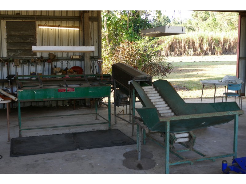 144 Old Cardwell Rd, Bilyana QLD 4854