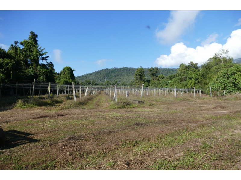 144 Old Cardwell Rd, Bilyana QLD 4854