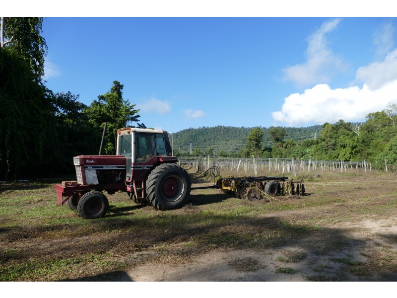 144 Old Cardwell Rd, Bilyana QLD 4854