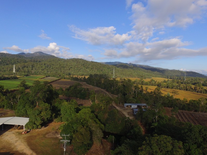 144 Old Cardwell Rd, Bilyana QLD 4854