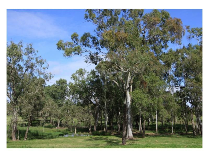 46 MacGregor Street, The Range QLD 4700