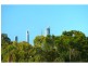8 Camberwell Circuit, Robina QLD 4226