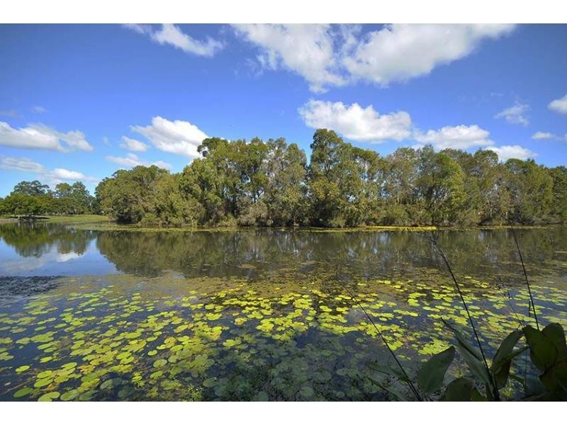 18 Peach Drive, Robina QLD 4226