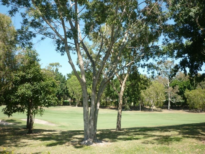 904 Medinah Avenue, Robina QLD 4226