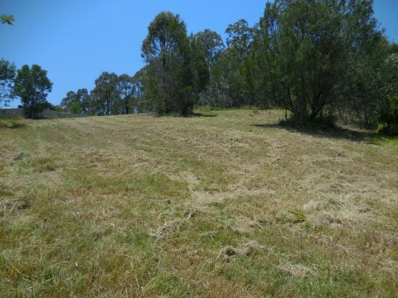 14 Coffeebush Court, Reedy Creek QLD 4227