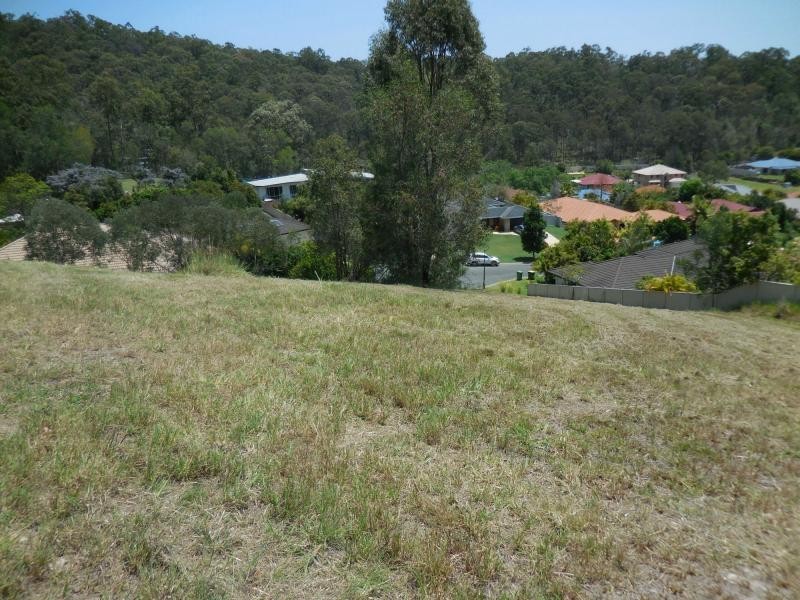 14 Coffeebush Court, Reedy Creek QLD 4227